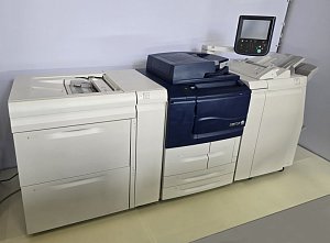 МФУ Xerox D95A; DADF, Лоток JCF-1, Финишер LFN-1