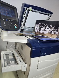 МФУ XEROX C70_int_EFI (RMF) МФУ XEROX C70_int_EFI (RMF)