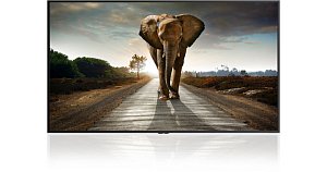 Профессиональный дисплей Sharp 8M-B120C